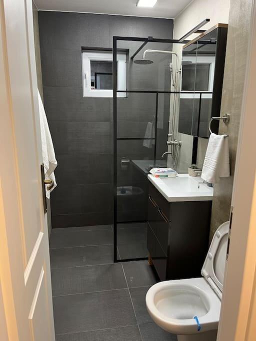 Apartament Сучава Екстер'єр фото
